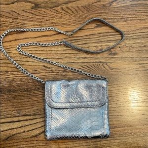 Banana Republic Metallic Crossbody Purse